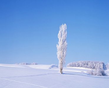 聖アンジェラの日々のことば（１８）