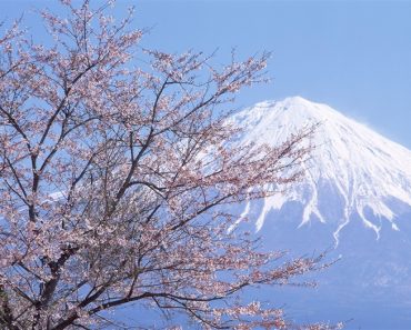 聖マリー･ド･レンカルナシオンのことば(8)